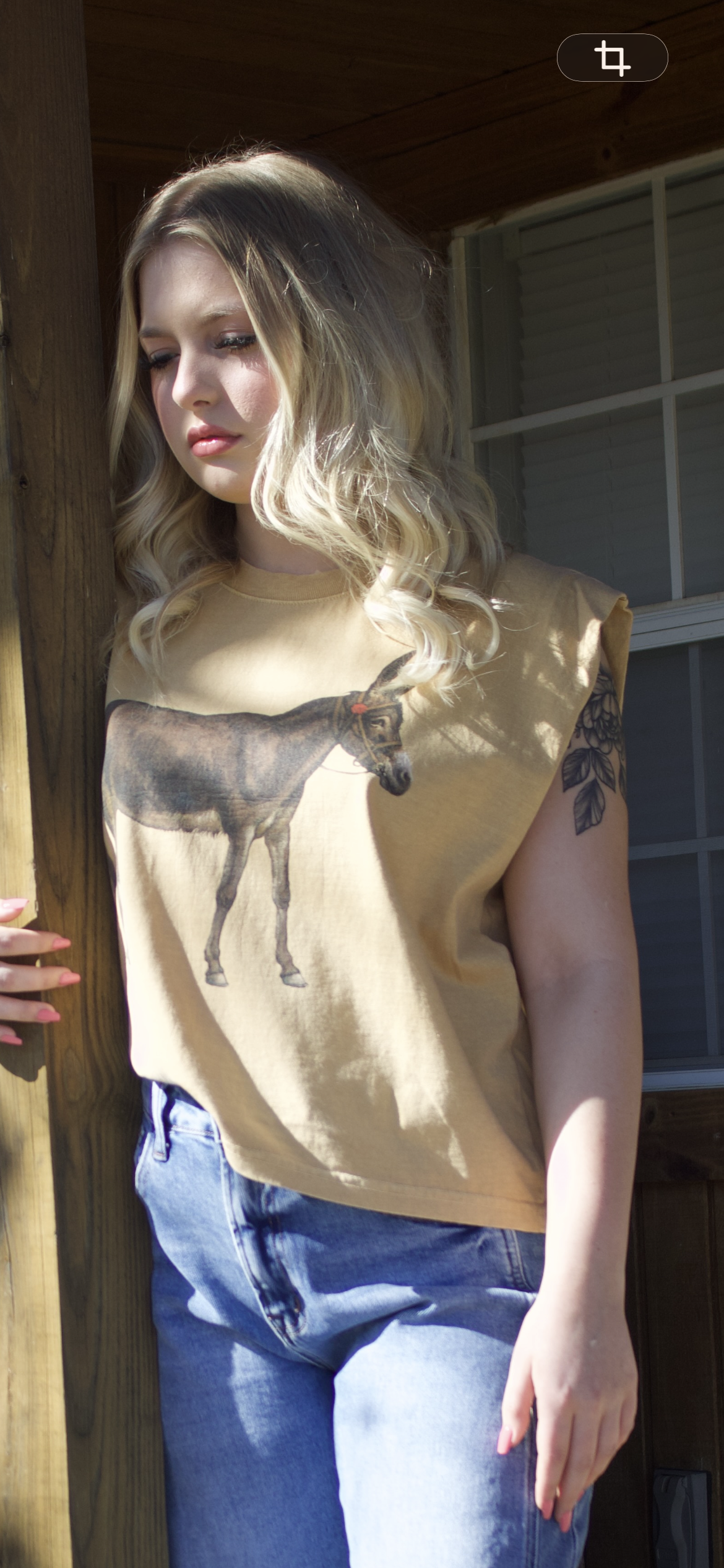 Vintage Donkey American Apparel Cropped Sleeveless Tee